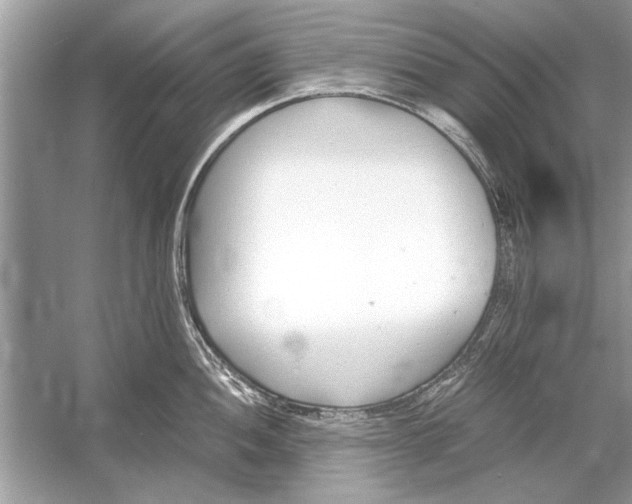 X0000051911052200507222103