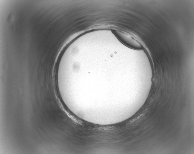 X0000051911053200507222103