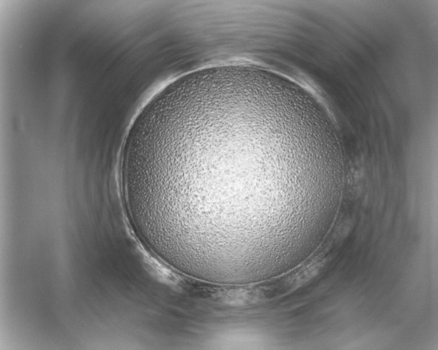 X0000051911054200507222103