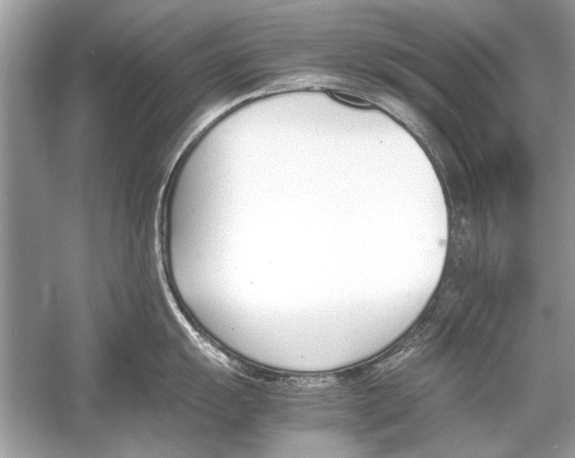 X0000051911055200507222103