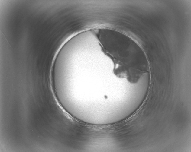 X0000051911056200507222103