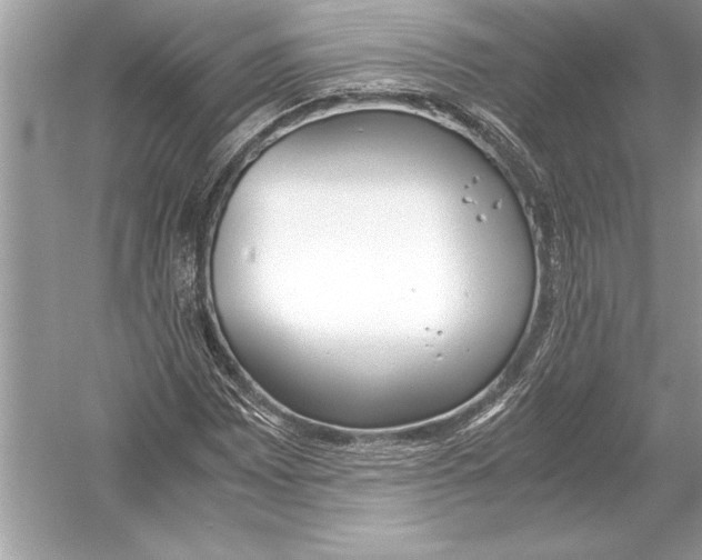 X0000051911065200507222102