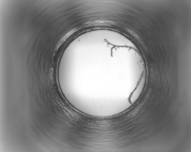 X0000051911066200507222102