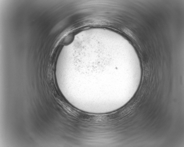 X0000051911067200507222102