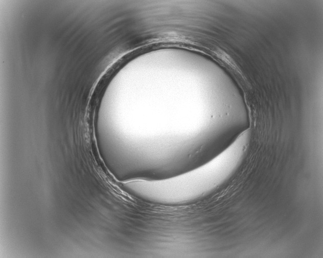 X0000051911068200507222102