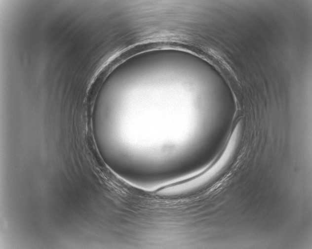 X0000051911069200507222102