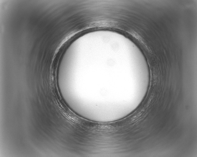 X0000051911070200507222102