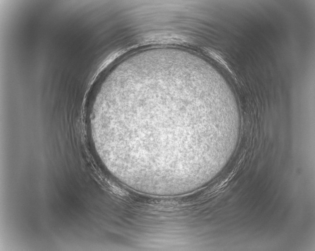 X0000051911071200507222102