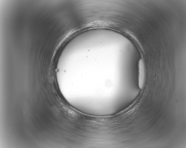 X0000051911075200507222102