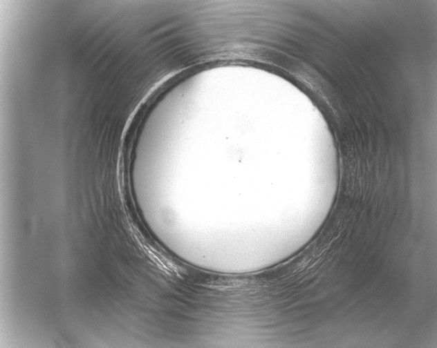 X0000051911076200507222102