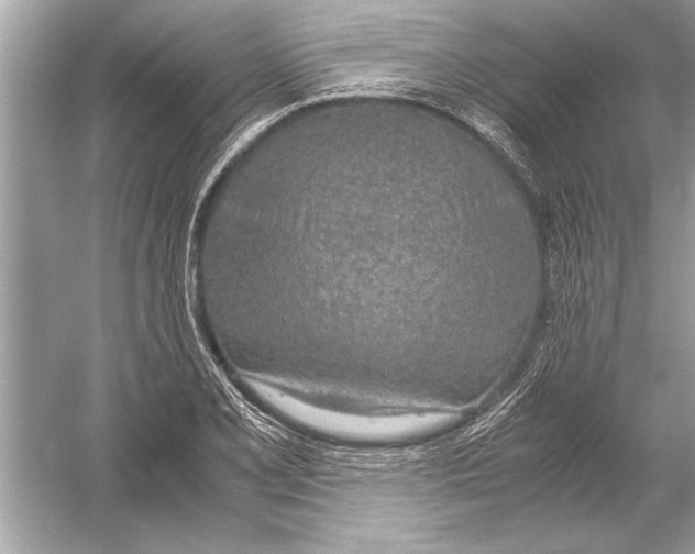 X0000051911077200507222102