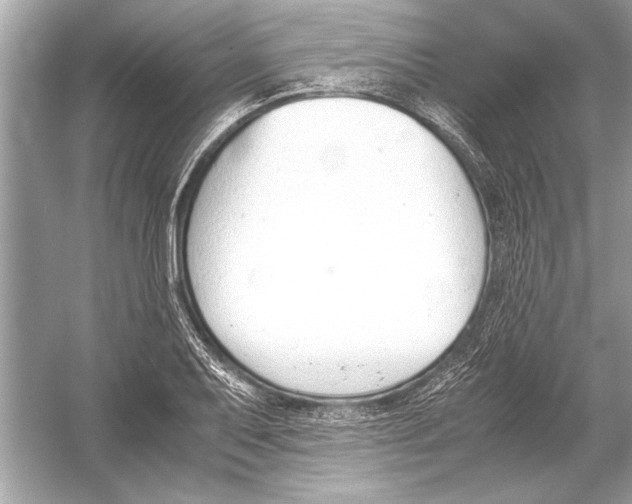 X0000051911079200507222102