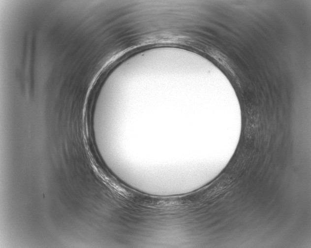 X0000051911080200507222102