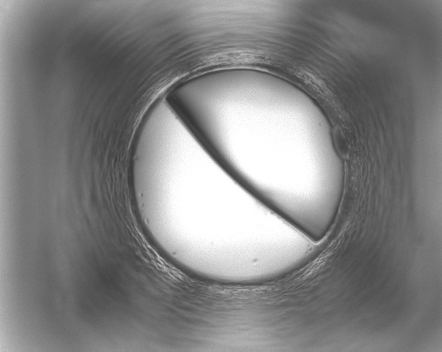 X0000051911081200507222102