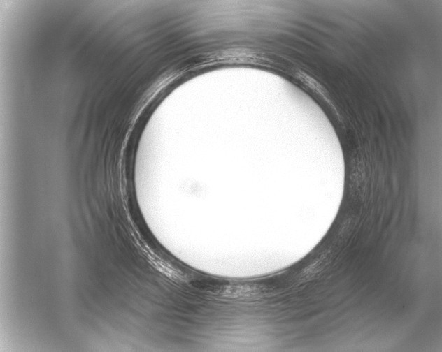 X0000051911082200507222102