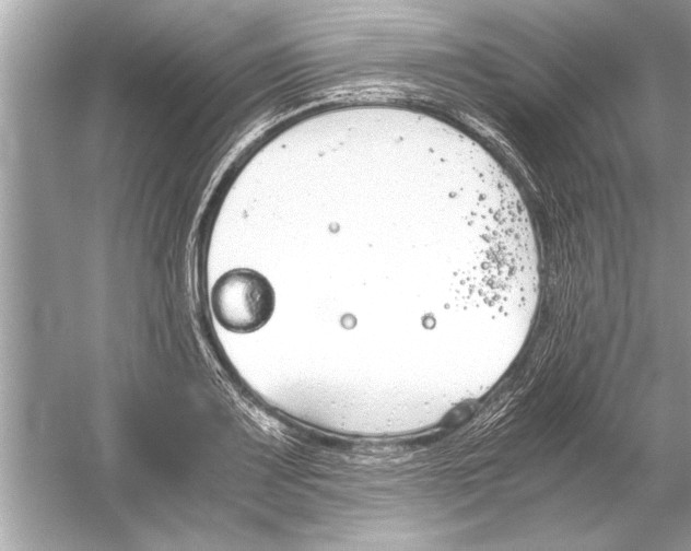 X0000051911083200507222102