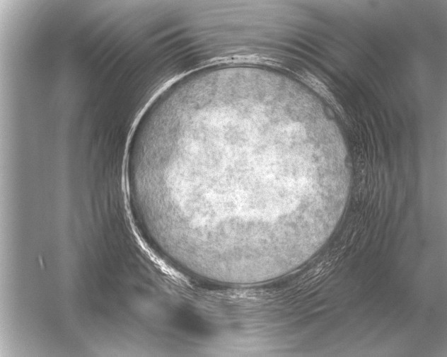 X0000051911084200507222102