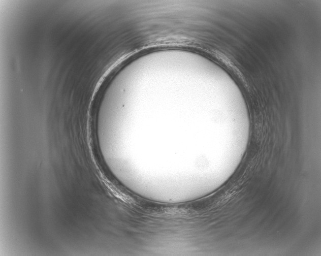 X0000051911085200507222102