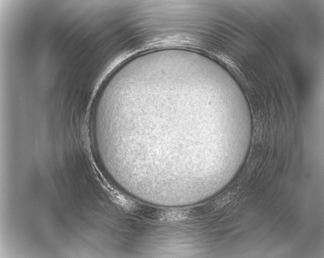 X0000051911086200507222102