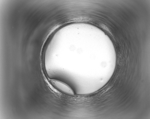 X0000051911087200507222102