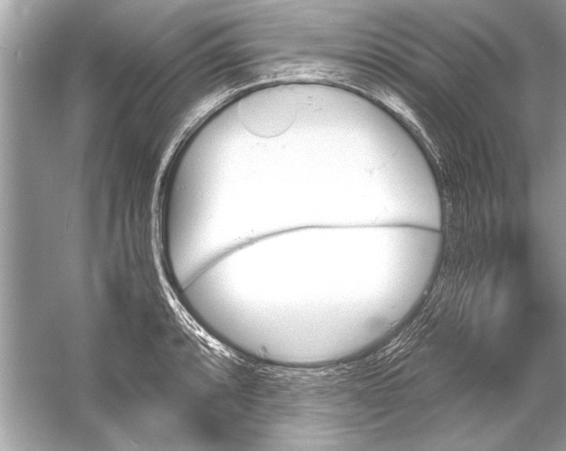 X0000051911088200507222102