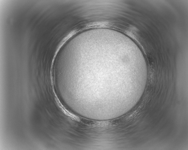 X0000051911090200507222102