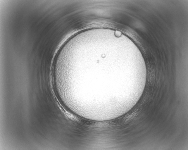 X0000051911094200507222102