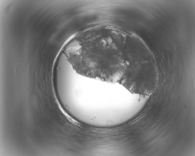 X0000051911095200507222102