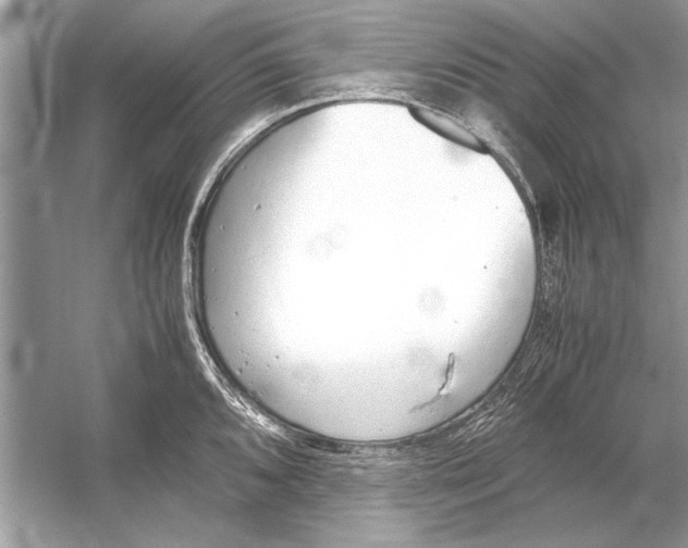 X0000051911096200507222102