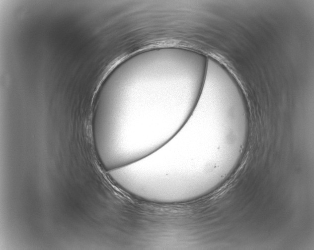 X0000051911097200507222102