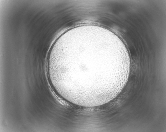 X0000051911098200507222102