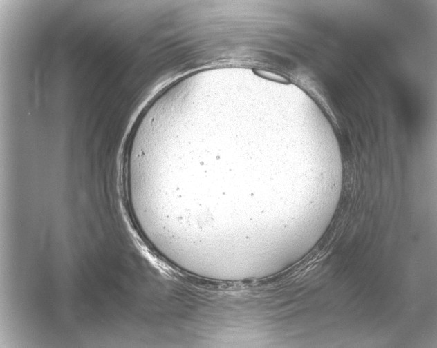 X0000051911099200507222101