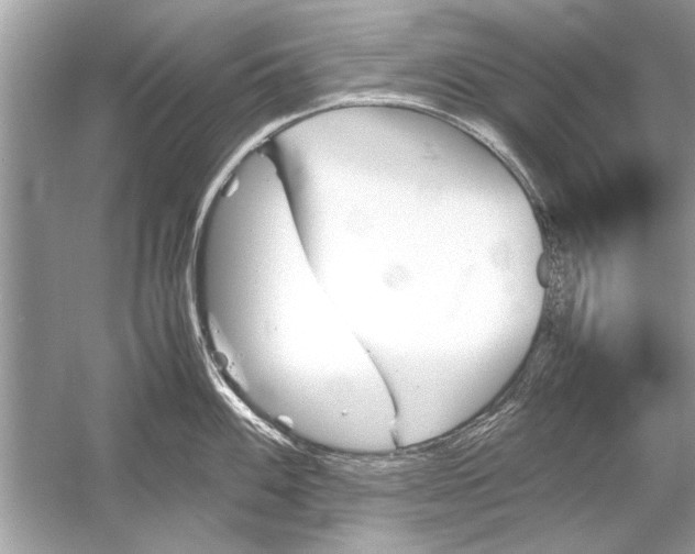 X0000051911100200507222101