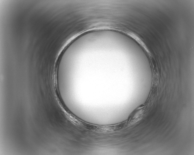 X0000051911101200507222101