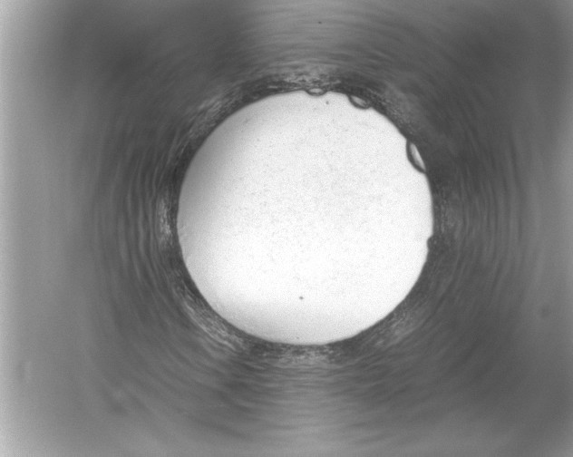 X0000051911106200507222101