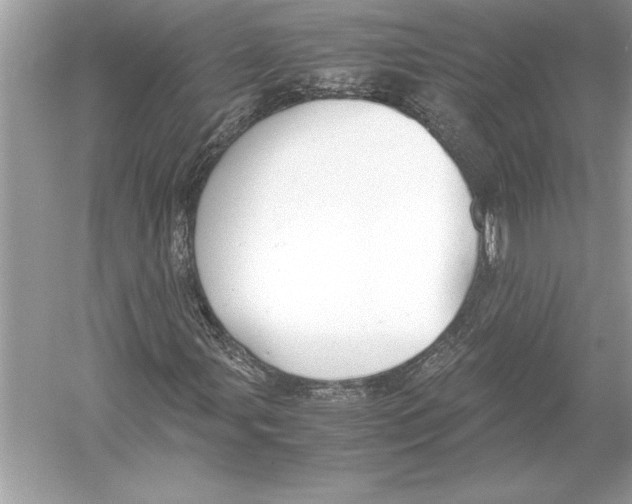 X0000051911107200507222101