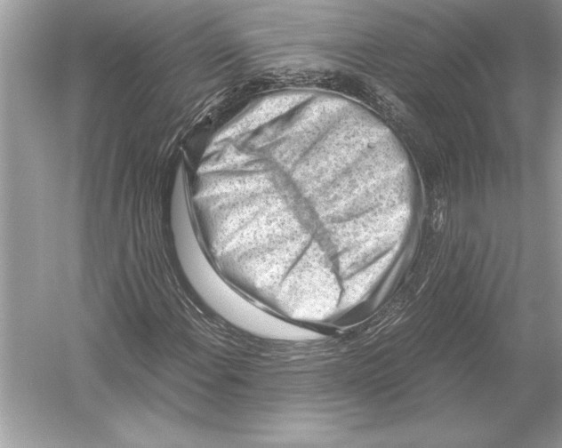 X0000051911108200507222101