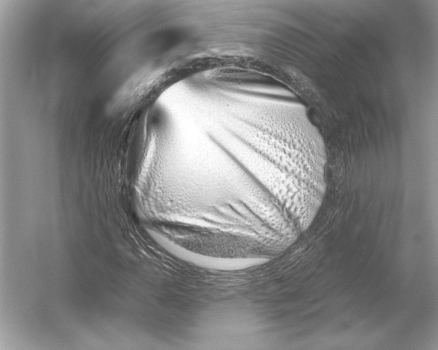 X0000051911110200507222101