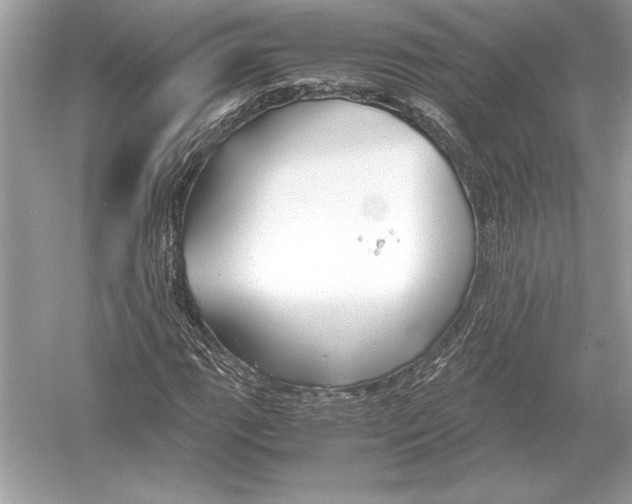 X0000051911111200507222101