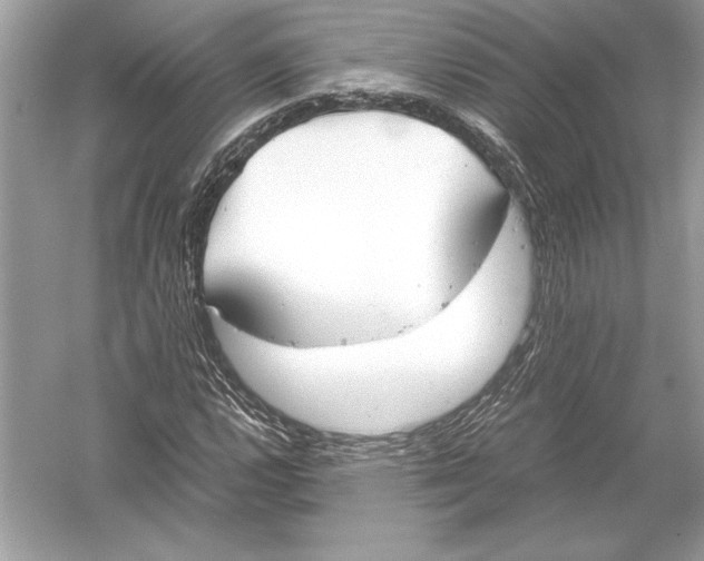 X0000051911112200507222101