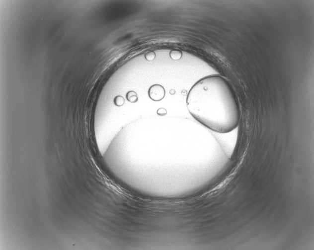 X0000051911113200507222101