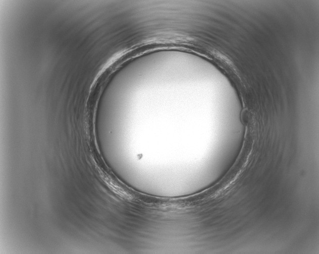 X0000051911114200507222101