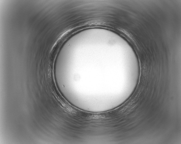 X0000051911115200507222101