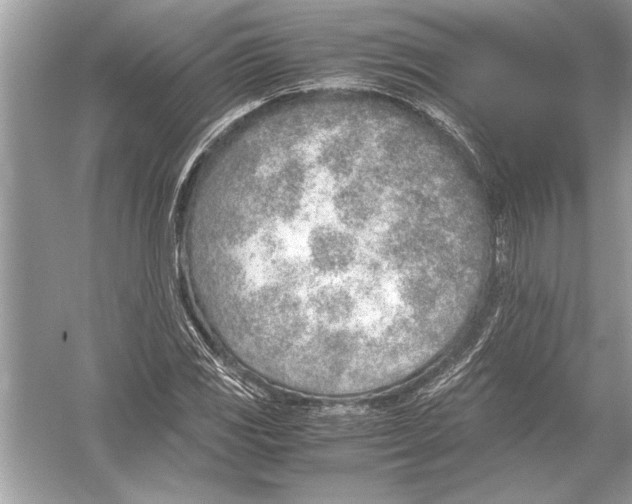 X0000051911117200507222101