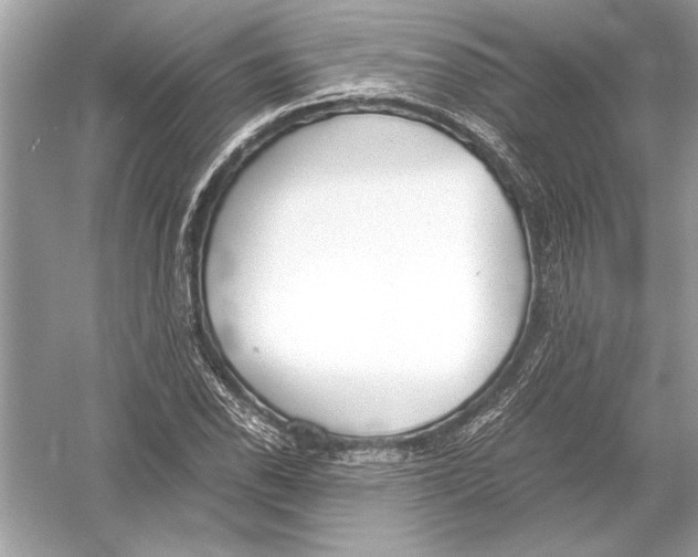 X0000051911118200507222101