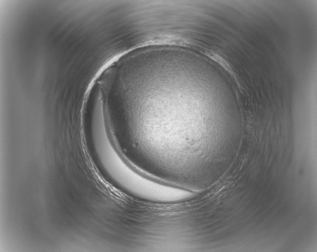 X0000051911120200507222101