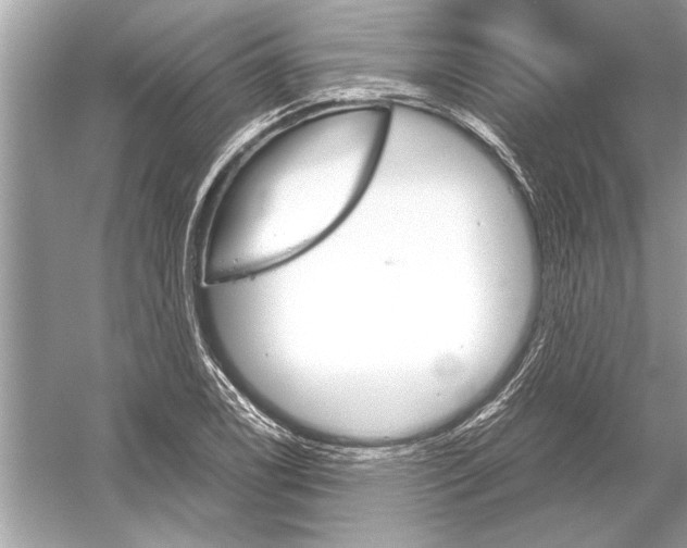 X0000051911122200507222101