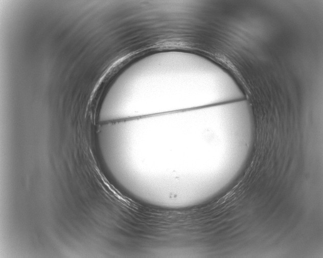 X0000051911123200507222101