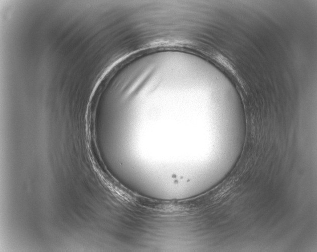 X0000051911124200507222101