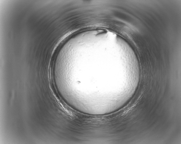 X0000051911125200507222101